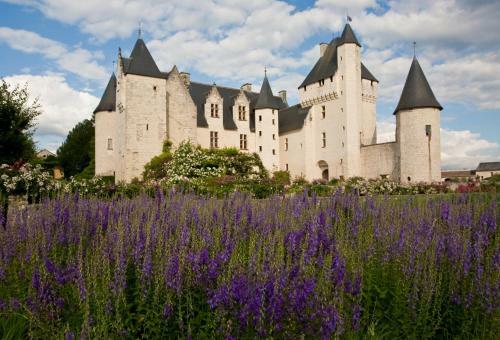 Bed & Breakfast Ch�teau Du Rivau