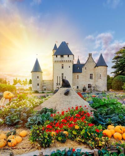 Bed & Breakfast Ch�teau Du Rivau