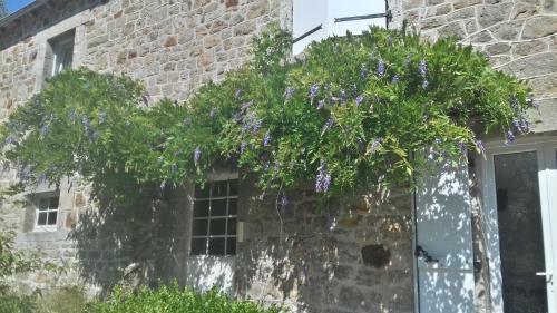 Hostal La Verenerie