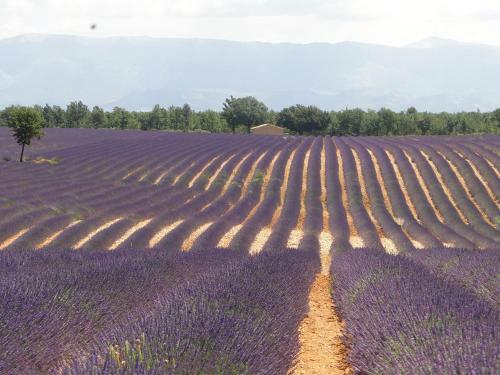 Les Gen�vriers