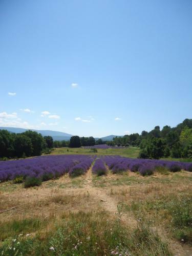 Les Gen�vriers
