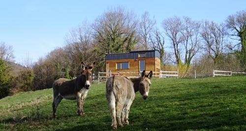 Bed & Breakfast La T�te Dans Les Etoiles