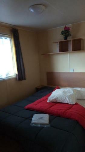 Camping L'olivier