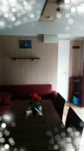 Camping L'olivier