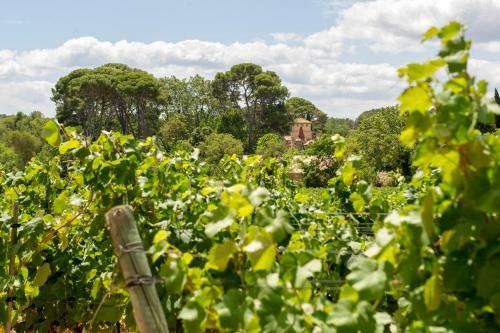 Agroturismo Montagnac Chateau Sleeps 14 Pool Wifi