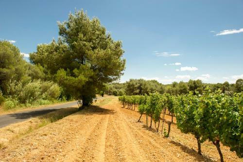 Agroturismo Montagnac Chateau Sleeps 14 Pool Wifi