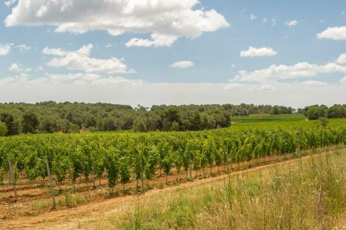 Agroturismo Montagnac Chateau Sleeps 14 Pool Wifi