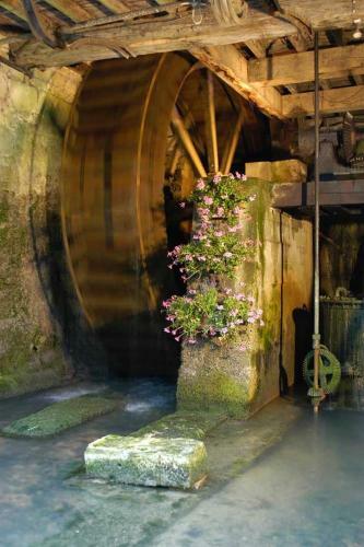 Bed & Breakfast Moulin de La Fleuristerie