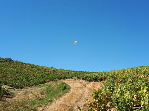 Hotel Le Mont Brouilly