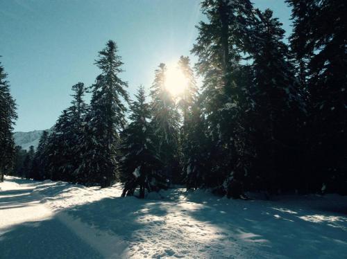 Gite Du Montagnol A Payolle