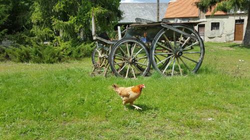Bed & Breakfast La Cour D'ench�re