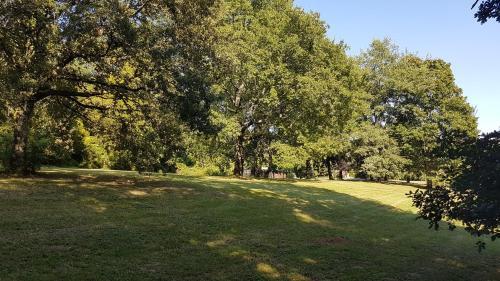 Villa Paradise On The River !