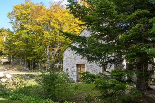 Village de G�tes Du Mas de La Barque