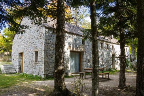 Village de G�tes Du Mas de La Barque