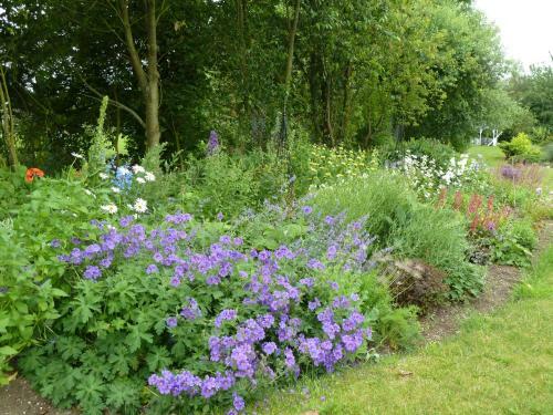 Alder Carr Bed And Breakfast