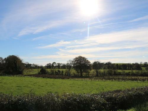 The North Croft, Ballymoney