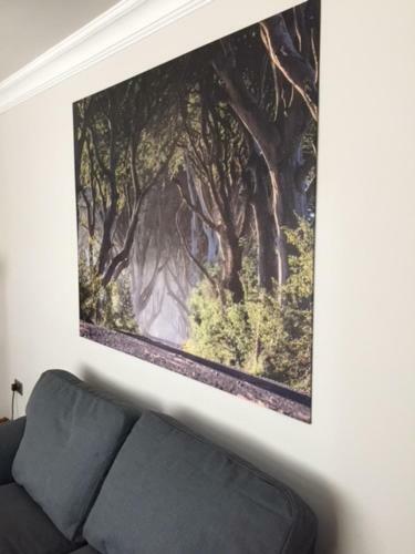 Dark Hedges Cottage