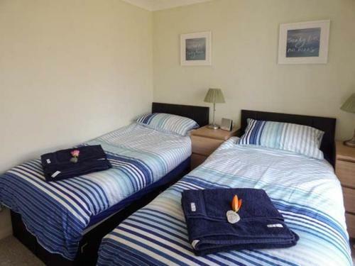 Driftwood, Clacton-on-sea