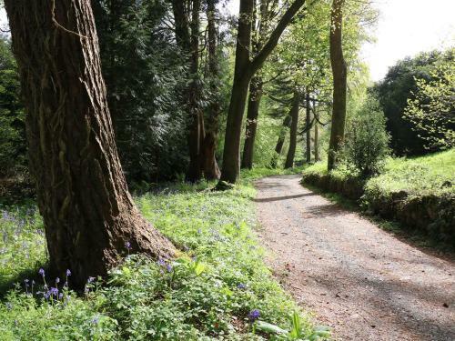 20 Tyglyn Vale Meadow Cottages, Lampeter