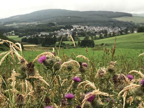 Lodge Hillside Havens