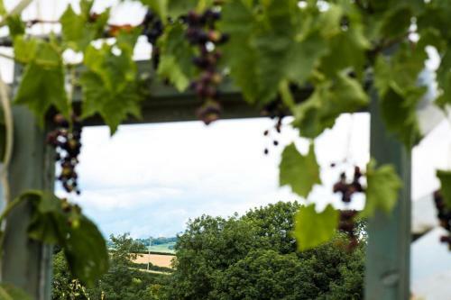 Bed & Breakfast Peartree Hill