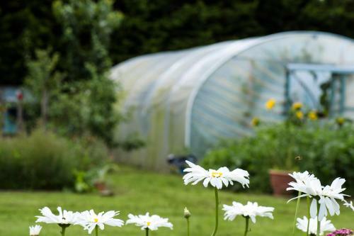 Bed & Breakfast Peartree Hill