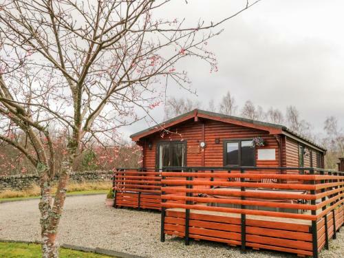 Wildcat Lodge