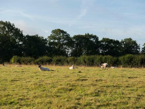 Barnfields Holiday Cottage, Stoke-on-trent