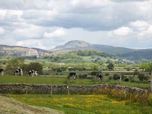 Penyghent View
