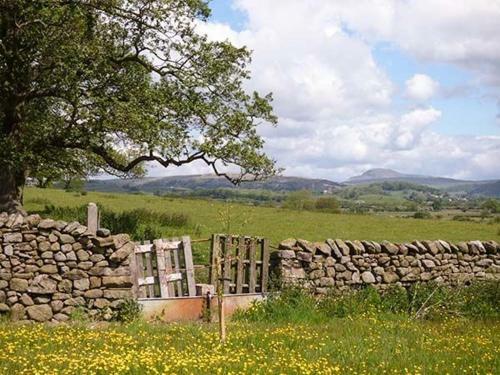 Penyghent View