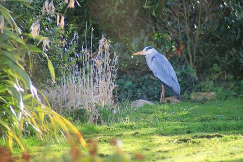 The Nest Seaside Eco Holiday Cottage