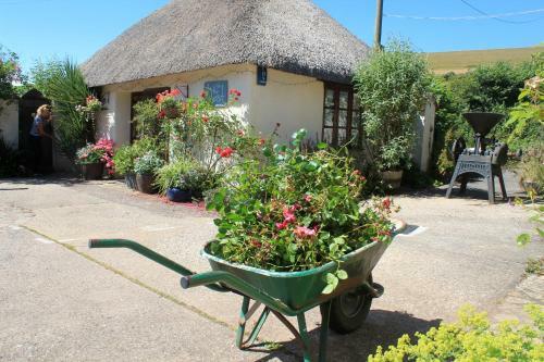 The Nest Seaside Eco Holiday Cottage