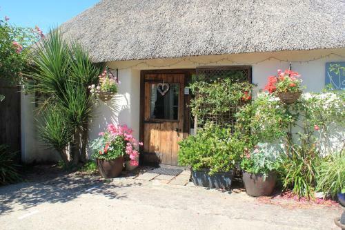 The Nest Seaside Eco Holiday Cottage