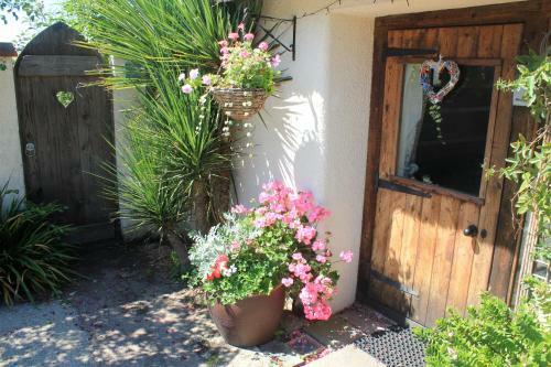 The Nest Seaside Eco Holiday Cottage
