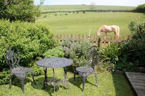 The Nest Seaside Eco Holiday Cottage