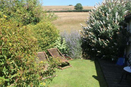 The Nest Seaside Eco Holiday Cottage