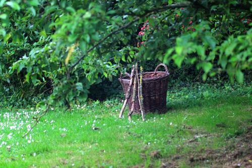 The Nest Seaside Eco Holiday Cottage