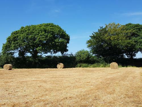 Thornbury Holiday Park