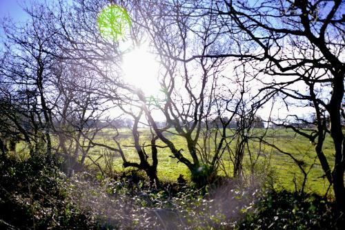 Thornbury Holiday Park