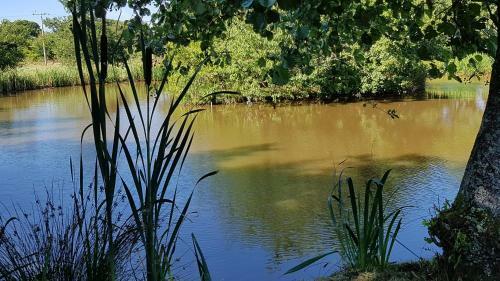Thornbury Holiday Park