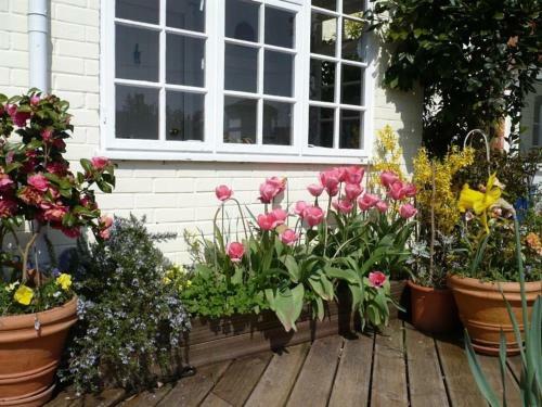 The Mews Cottage, Salisbury