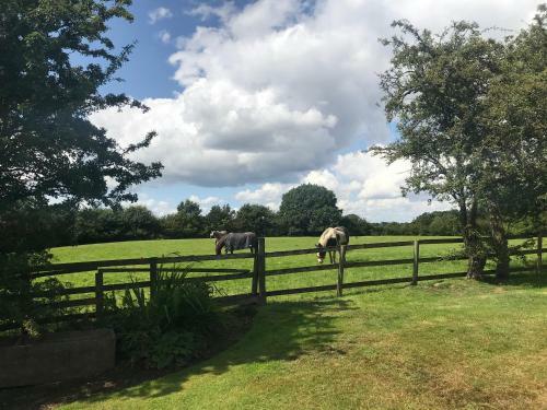 Hostal Rylands Farm Guest House