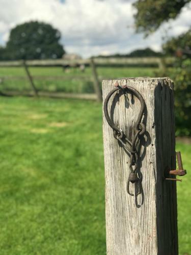 Hostal Rylands Farm Guest House