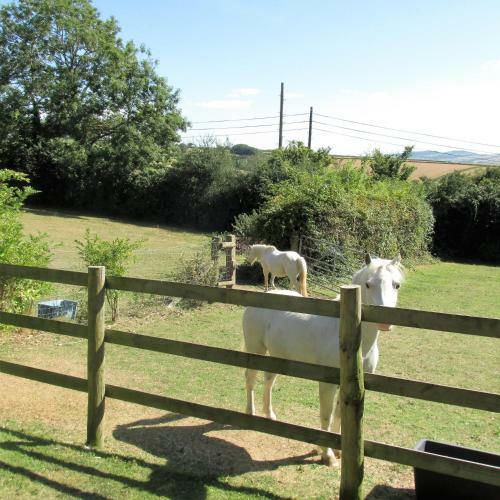 Bed & Breakfast Cherry Orchard House