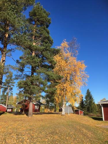 Stf Pajala Cottages