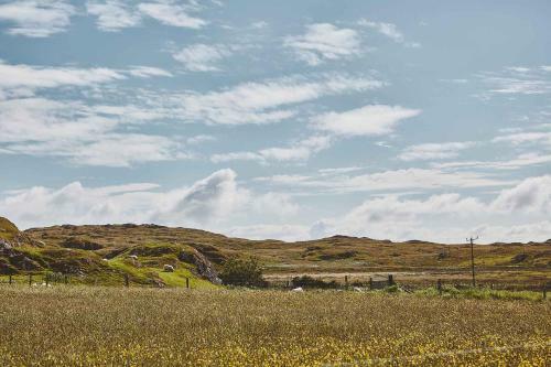 Iona Pods
