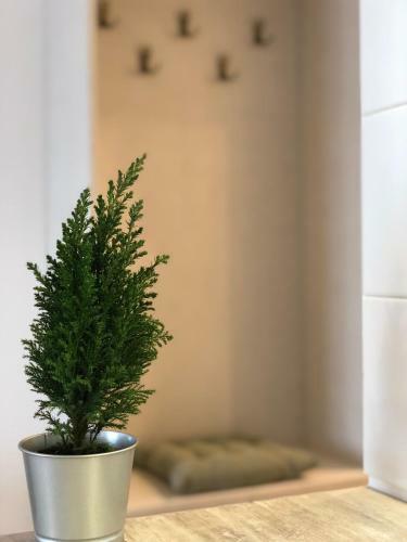 New Gudauri Redco Apartment