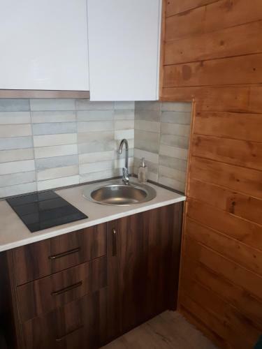 Apartment 309, Red Co, Loft 2, New Gudauri