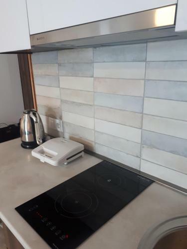Apartment 309, Red Co, Loft 2, New Gudauri