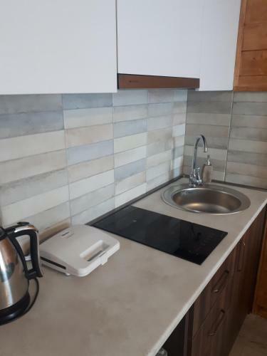 Apartment 309, Red Co, Loft 2, New Gudauri